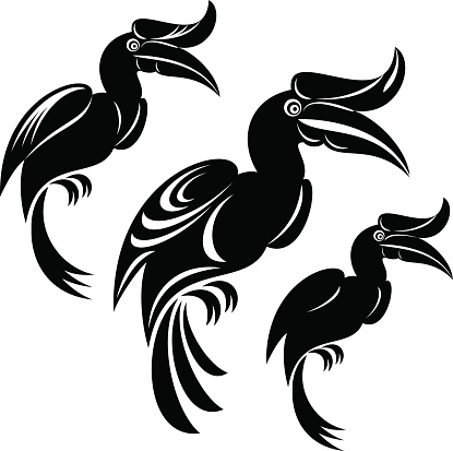 Detail Burung Enggang Vector Nomer 22
