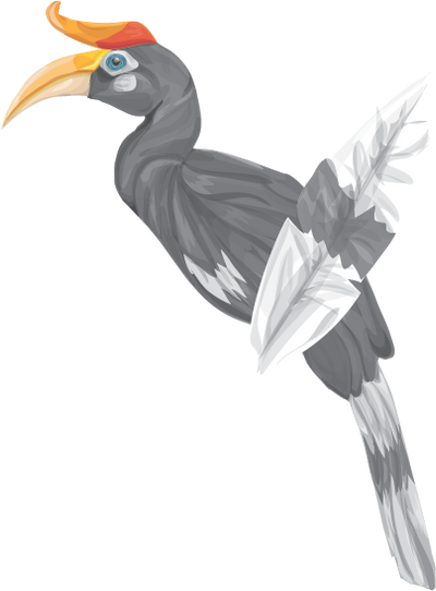 Detail Burung Enggang Vector Nomer 26