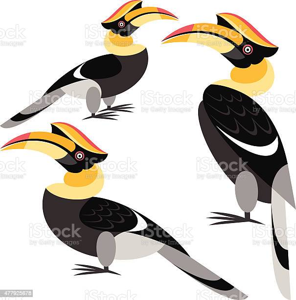 Detail Burung Enggang Vector Nomer 33