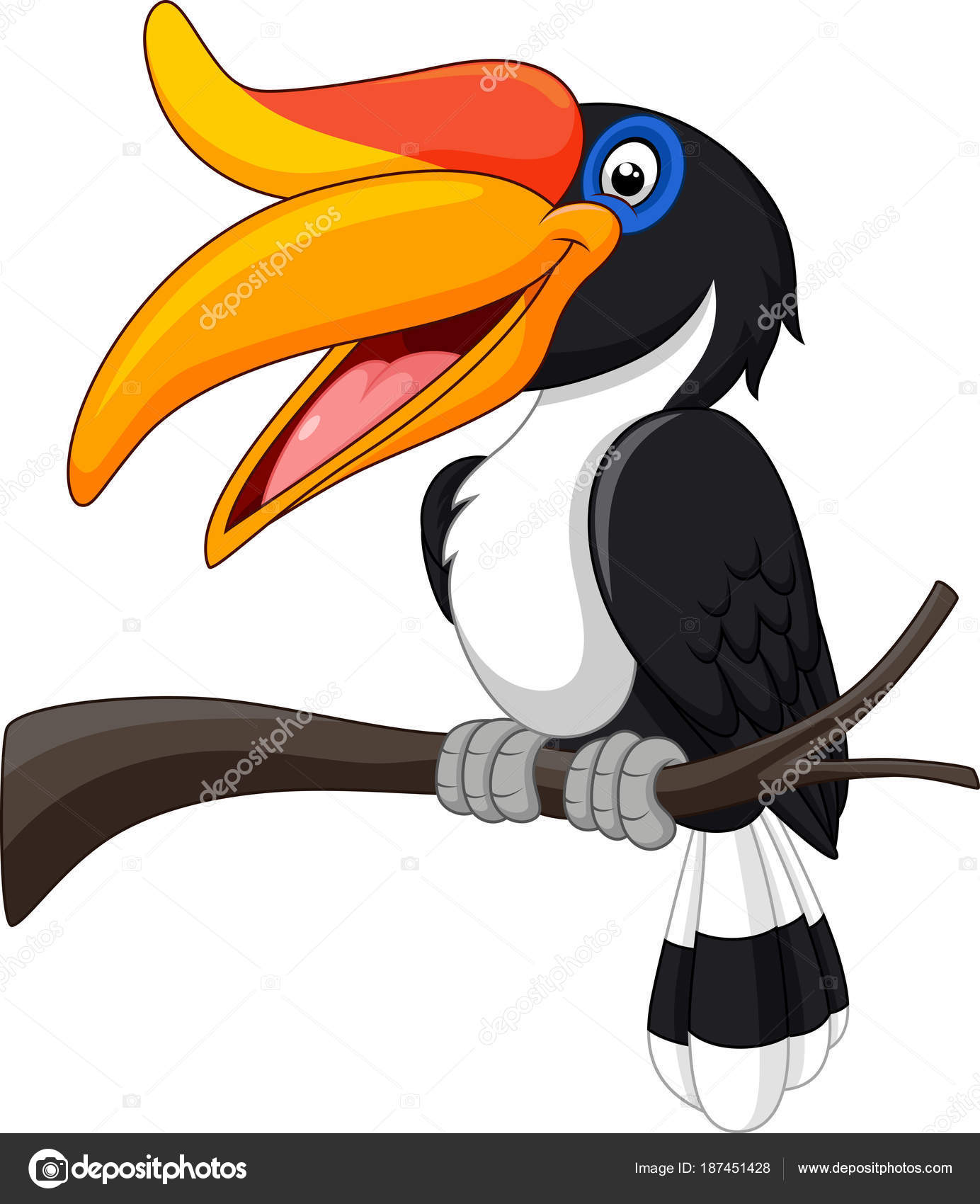 Detail Burung Enggang Vector Nomer 49