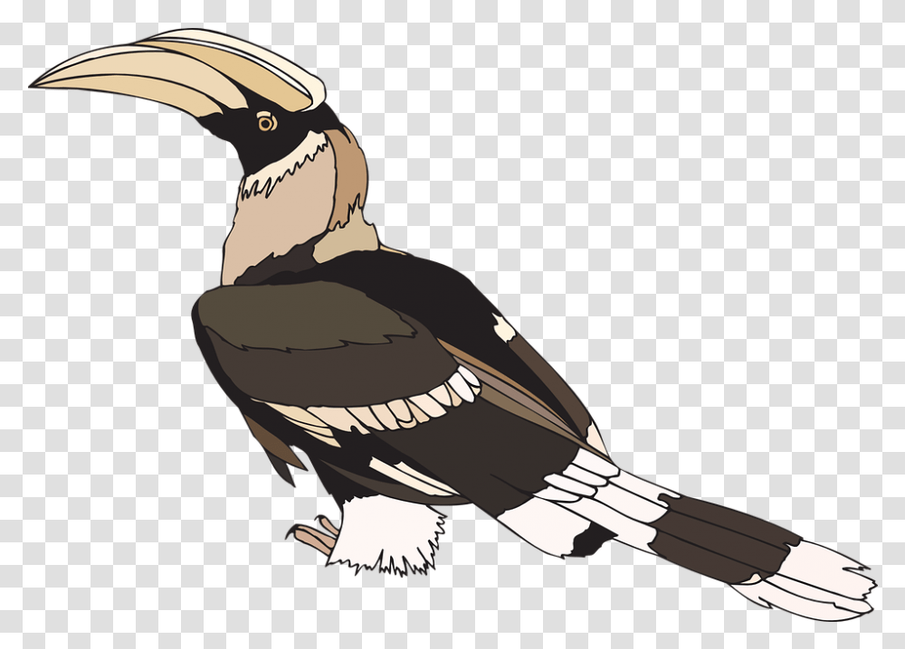 Detail Burung Enggang Vector Nomer 54