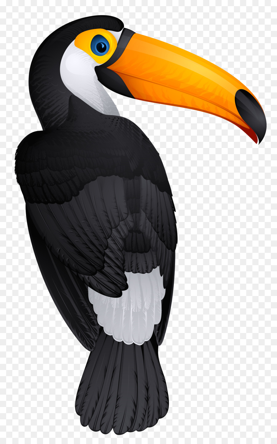 Detail Burung Enggang Vector Nomer 56