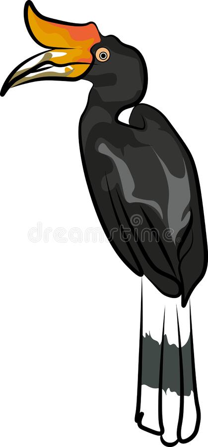 Detail Burung Enggang Vector Nomer 8