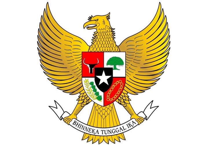 Detail Burung Garuda Hitam Putih Nomer 30