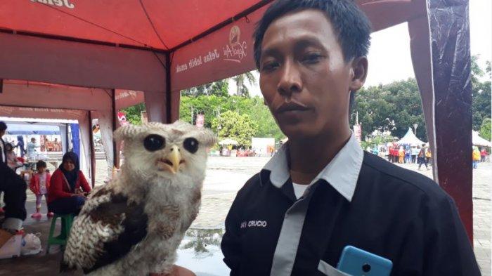 Detail Burung Hantu Paling Seram Nomer 11