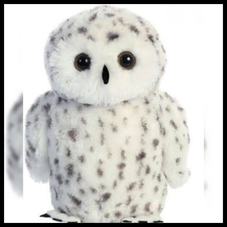 Detail Burung Hantu Salju Harga Nomer 19
