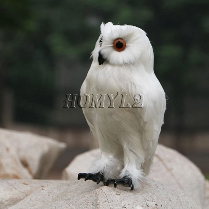 Detail Burung Hantu Salju Harga Nomer 35