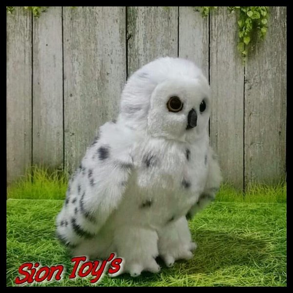 Detail Burung Hantu Salju Harga Nomer 41