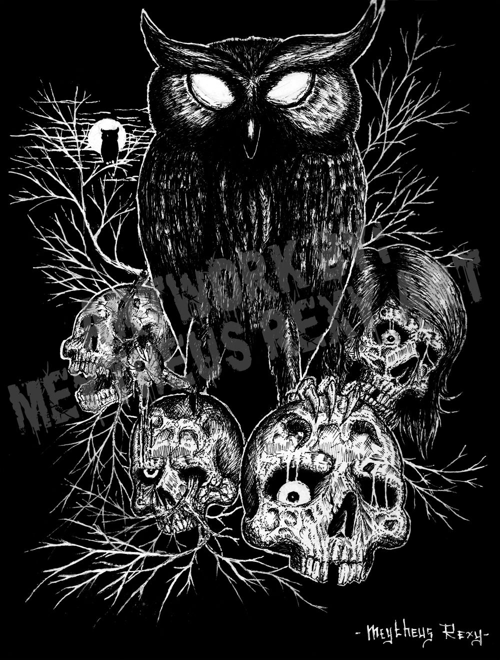 Detail Burung Hantu Wallpaper Nomer 11