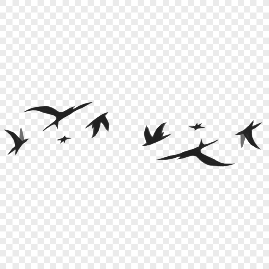 Detail Burung Hitam Png Nomer 48