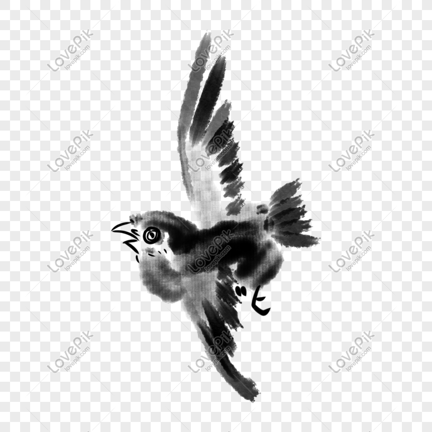 Detail Burung Hitam Png Nomer 51