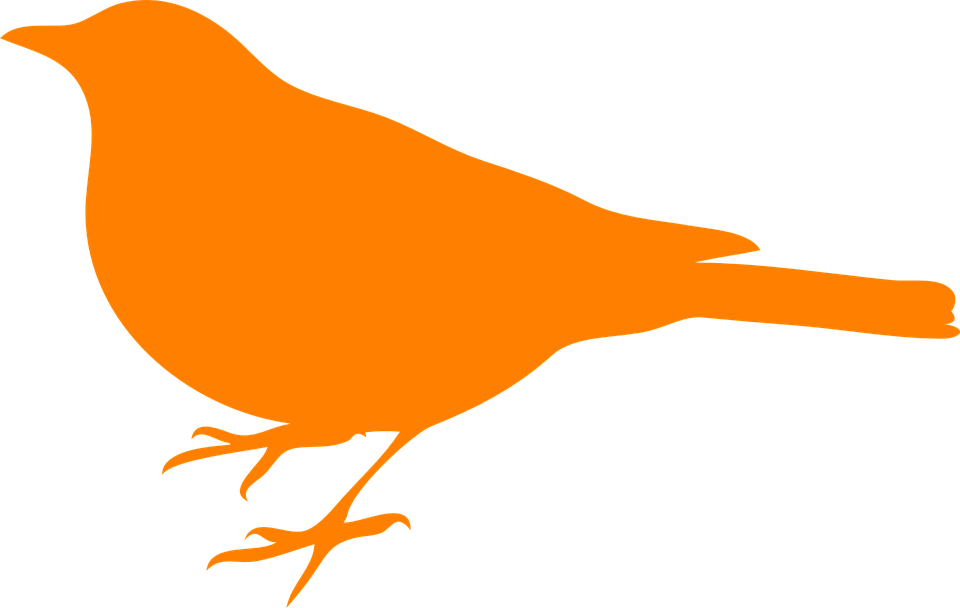 Detail Burung Hitam Png Nomer 53