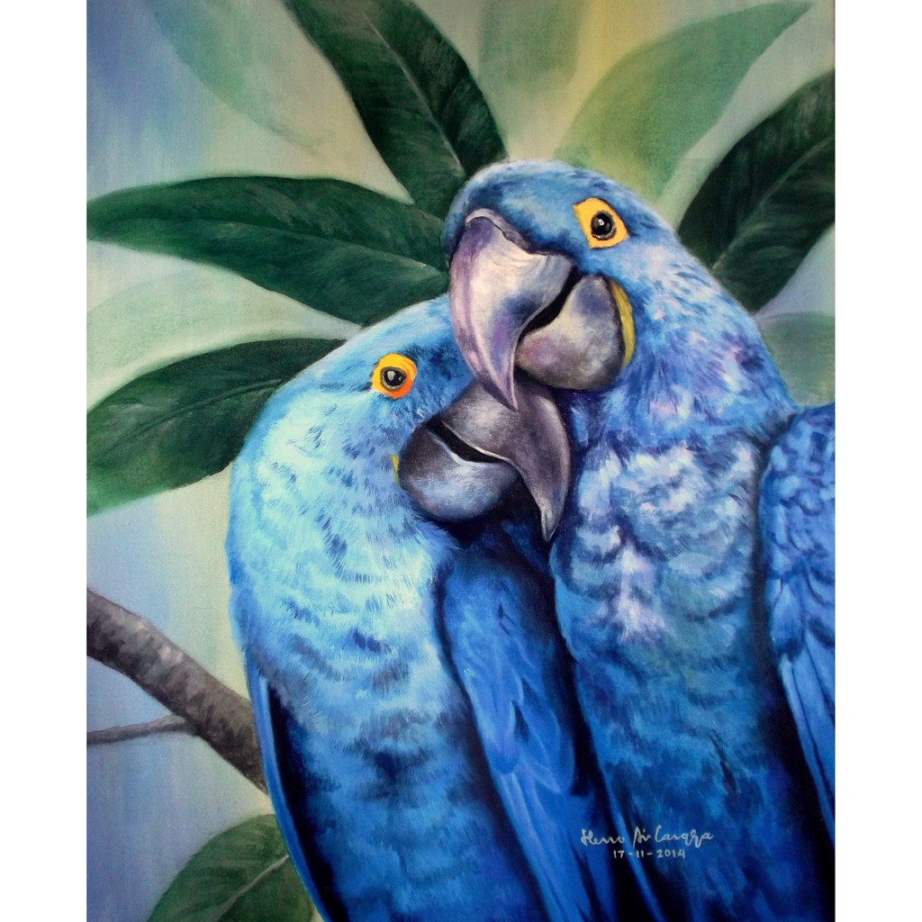 Detail Burung Kakatua Biru Nomer 9