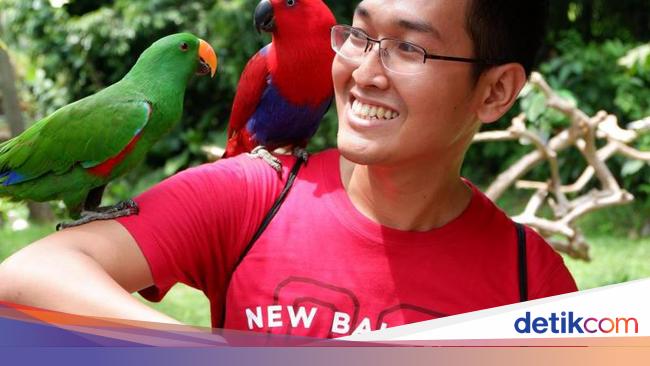 Detail Burung Kakatua Warna Warni Nomer 17