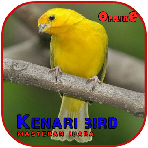 Detail Burung Kenari Png Nomer 44