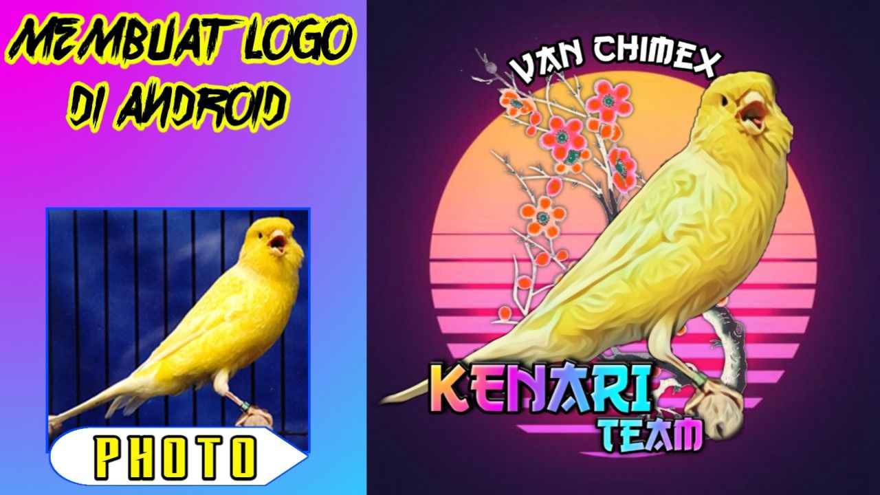 Detail Burung Kenari Vector Nomer 2