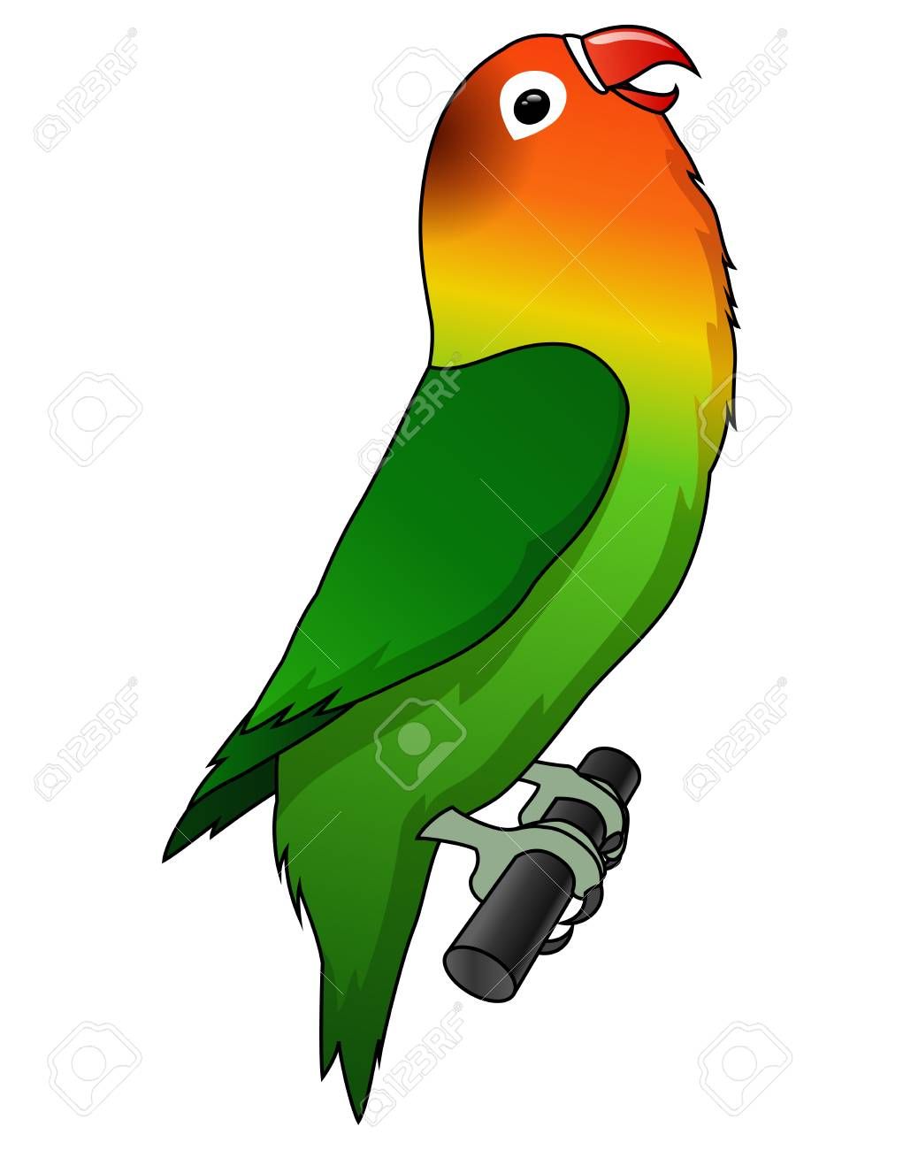 Burung Lovebird Vector - KibrisPDR