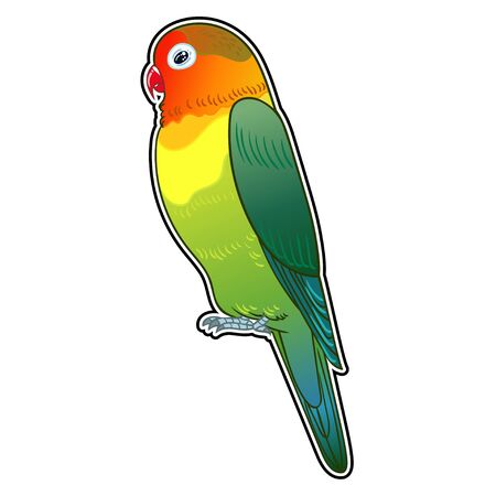 Detail Burung Lovebird Vector Nomer 20