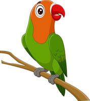 Detail Burung Lovebird Vector Nomer 41