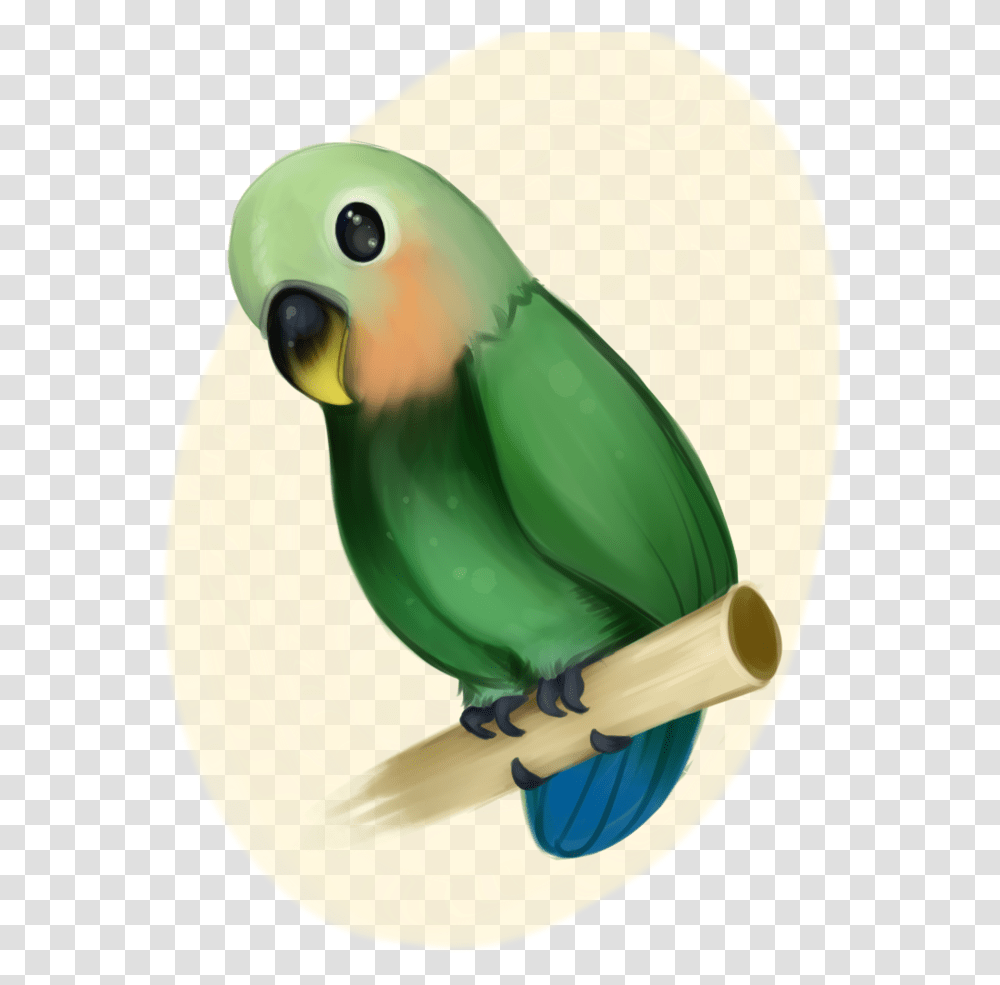 Detail Burung Lovebird Vector Nomer 43