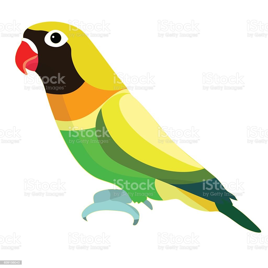 Detail Burung Lovebird Vector Nomer 9