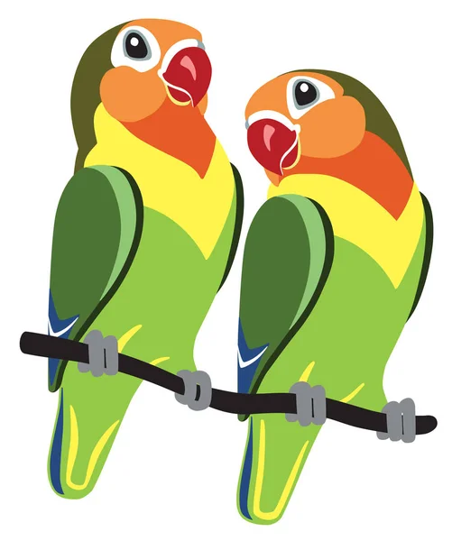 Detail Burung Lovebird Vector Nomer 10