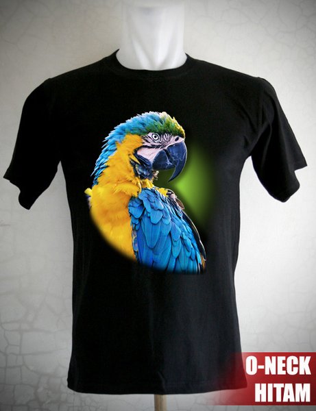 Detail Burung Macaw Biru Nomer 31