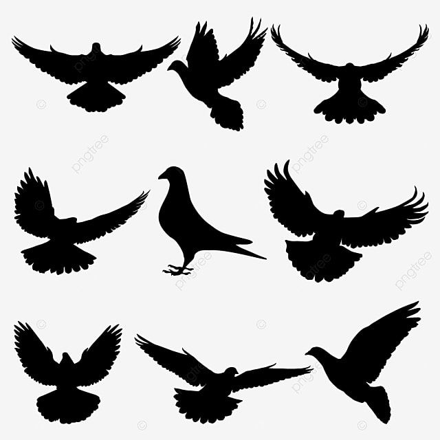 Detail Burung Merpati Logo Nomer 8