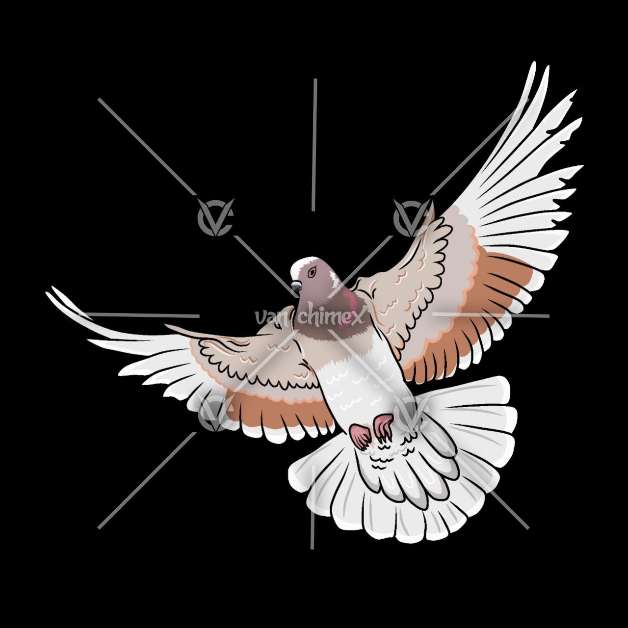 Detail Burung Merpati Vector Nomer 2