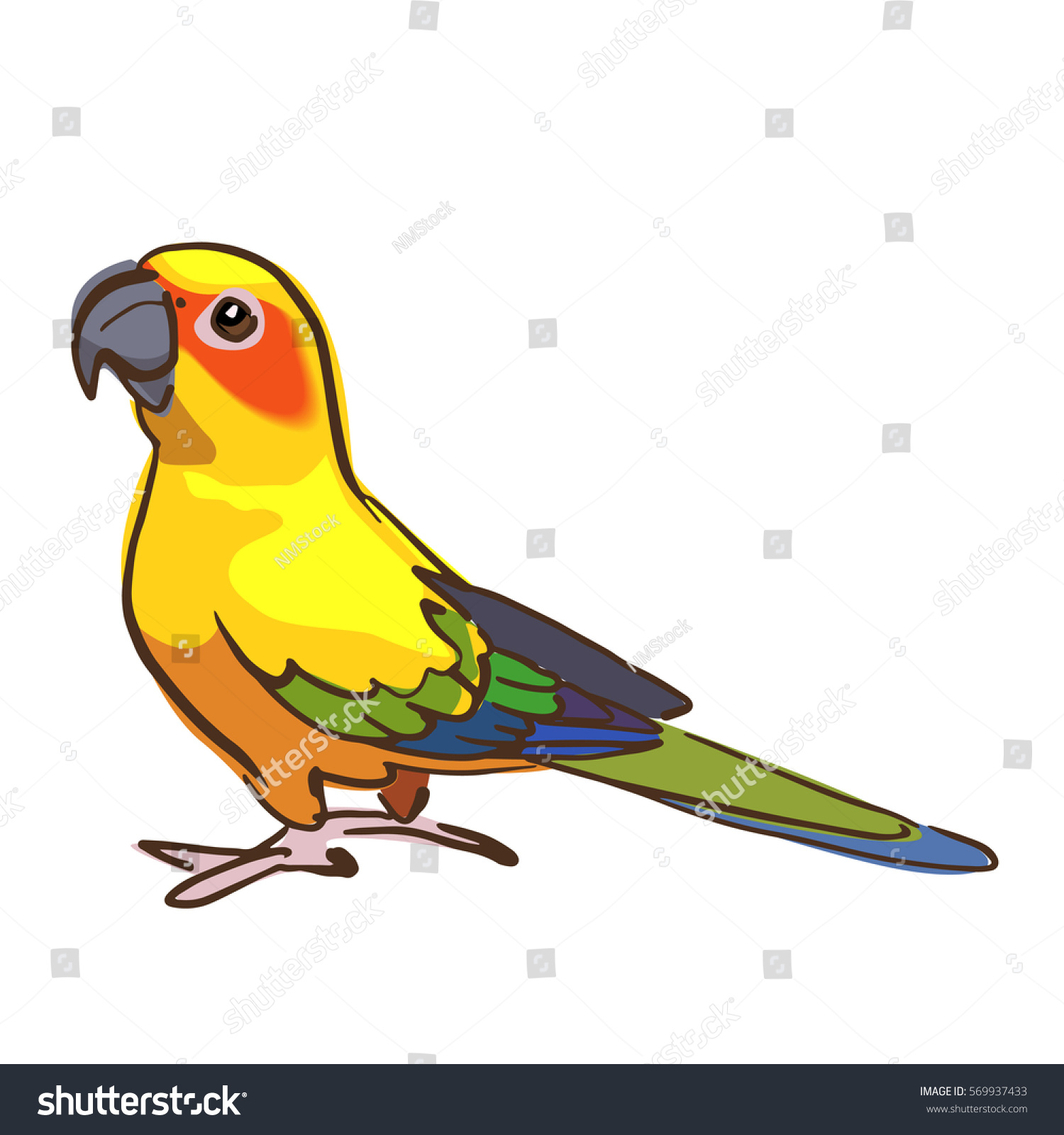 Detail Burung Sun Conure Nomer 43