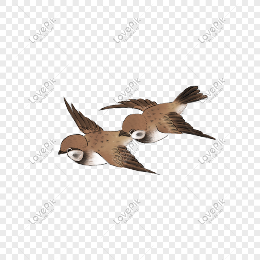 Detail Burung Terbang Png Nomer 31