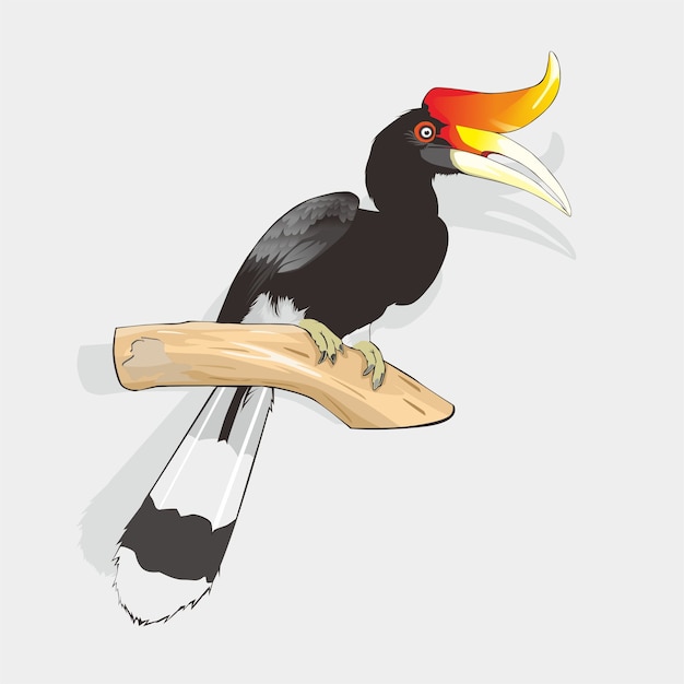 Detail Burung Tingang Vector Nomer 29