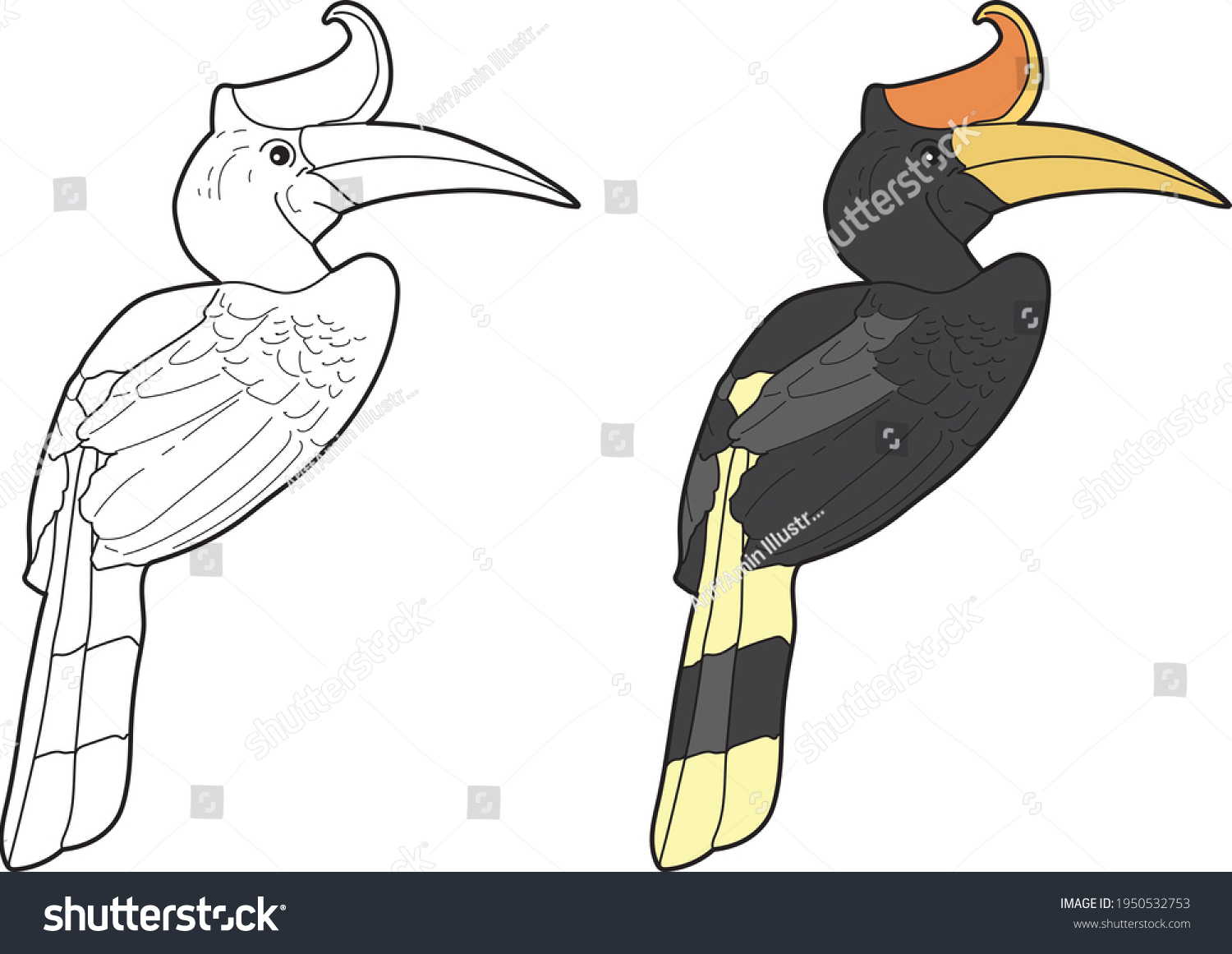 Detail Burung Tingang Vector Nomer 7