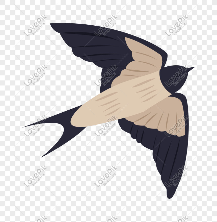 Detail Burung Walet Png Nomer 57