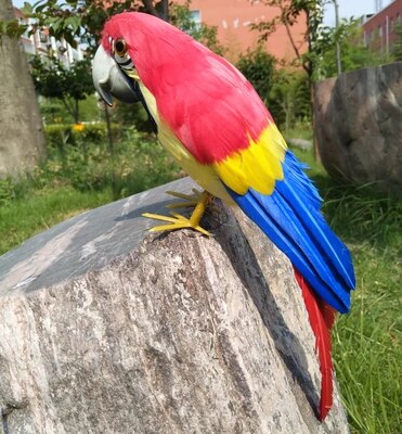 Detail Burung Warna Merah Nomer 29