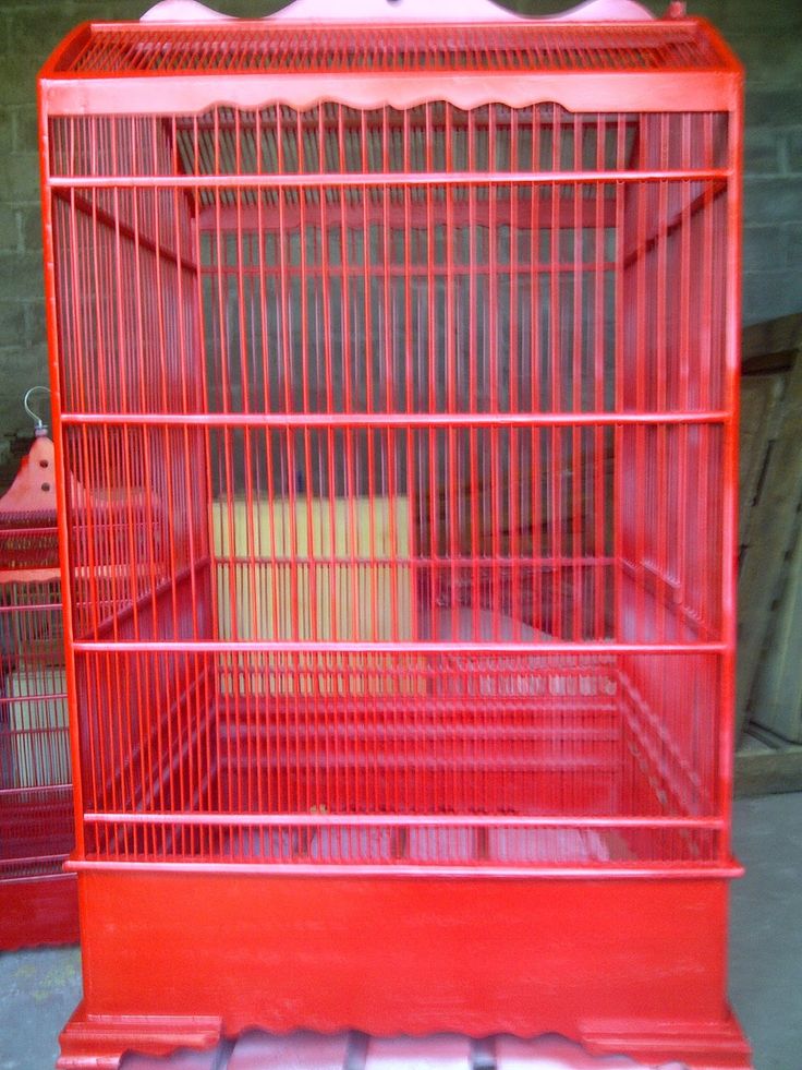 Detail Burung Warna Merah Nomer 50