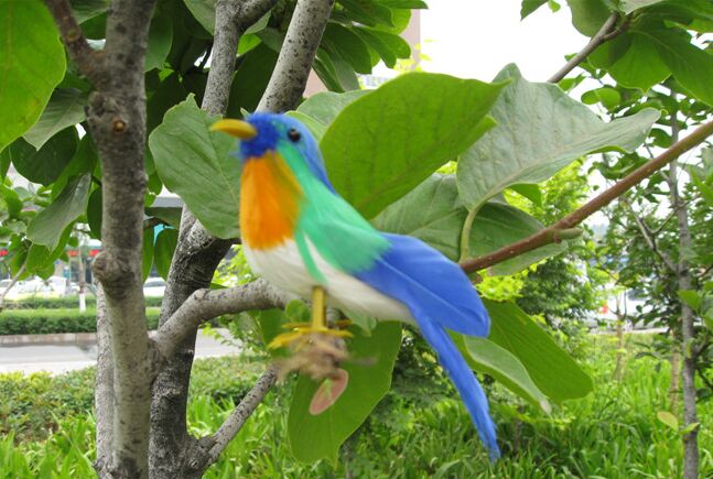 Detail Burung Warna Warni Kecil Nomer 8