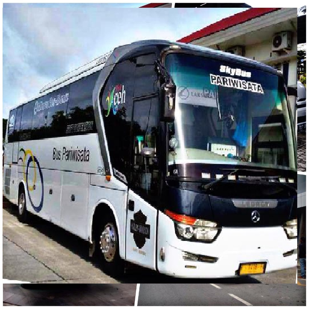 Detail Bus Pariwisata Medan Terbaru Nomer 4