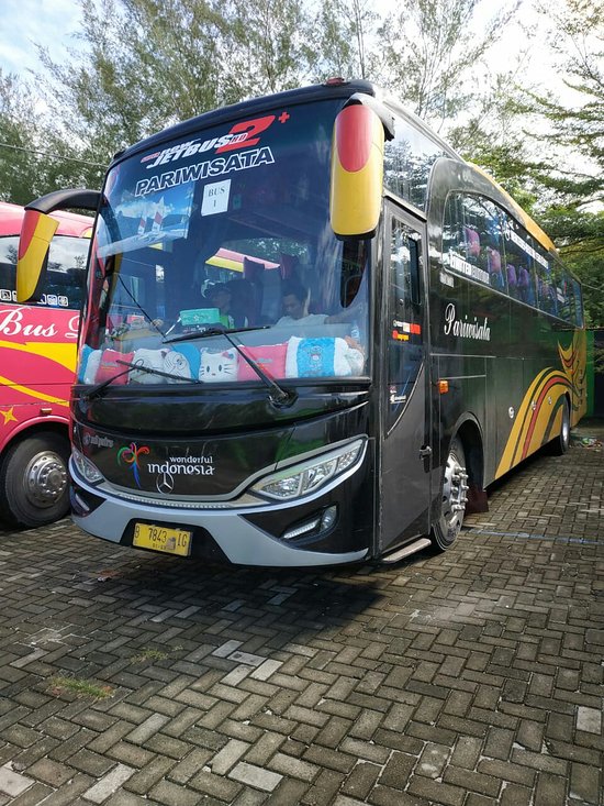 Detail Bus Pariwisata Medan Terbaru Nomer 30