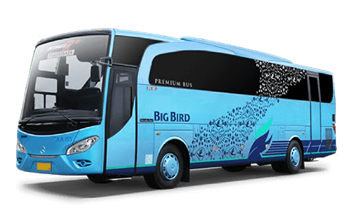 Logo Bus Pariwisata PNG: Lebih dari Sekadar Gambar, Sebuah Identitas yang Menjual