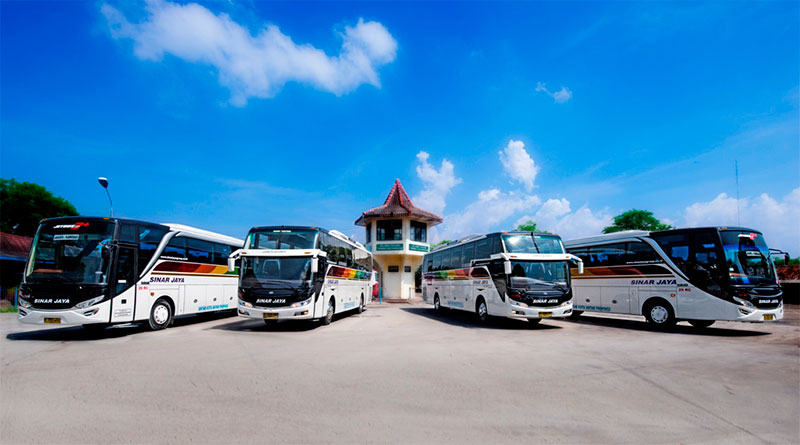 Detail Bus Pt Sinar Jaya Group Nomer 22