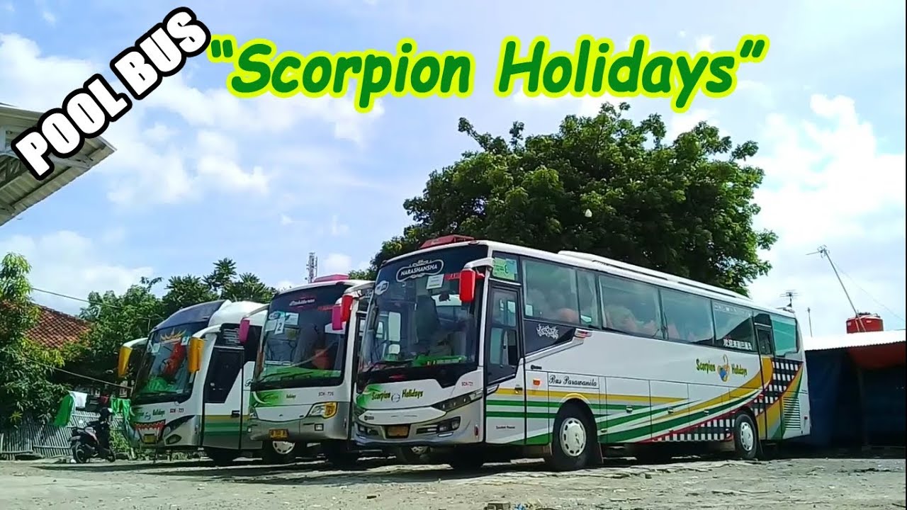 Bus Scorpion Holiday - KibrisPDR