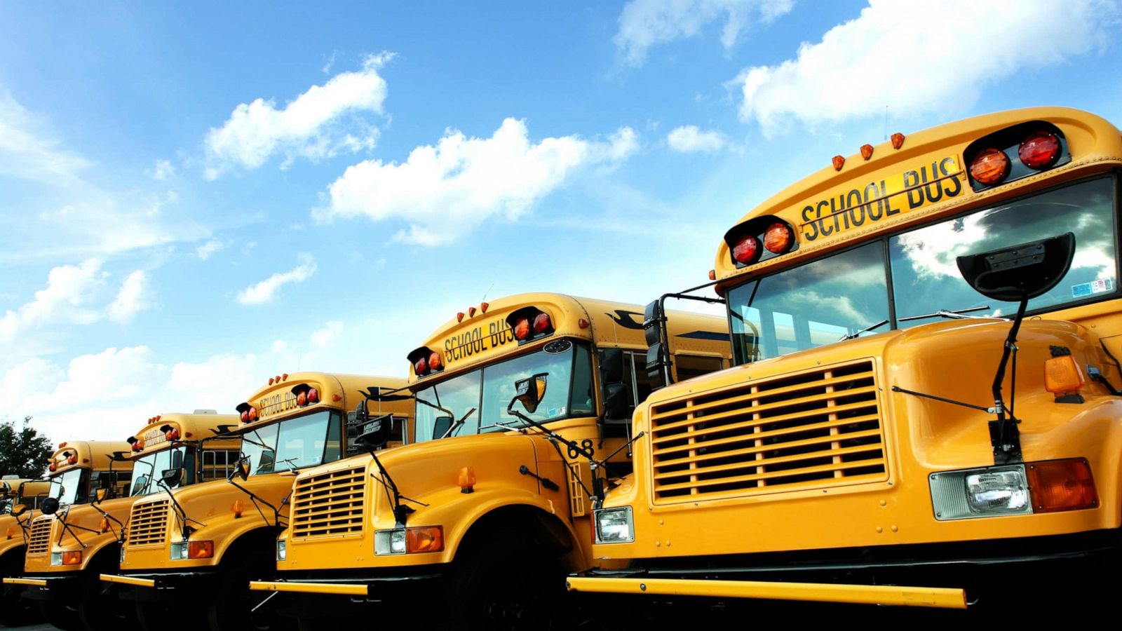 Detail Bus Wallpaper Nomer 47