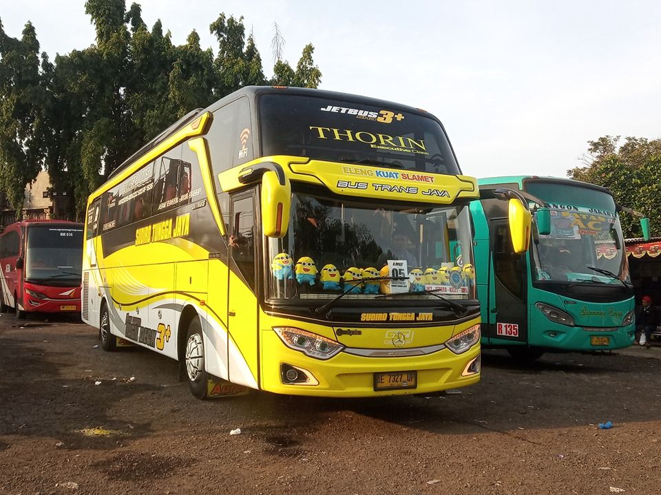 Detail Bus Warna Kuning Nomer 13