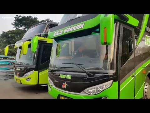 Detail Bus Warna Kuning Nomer 33