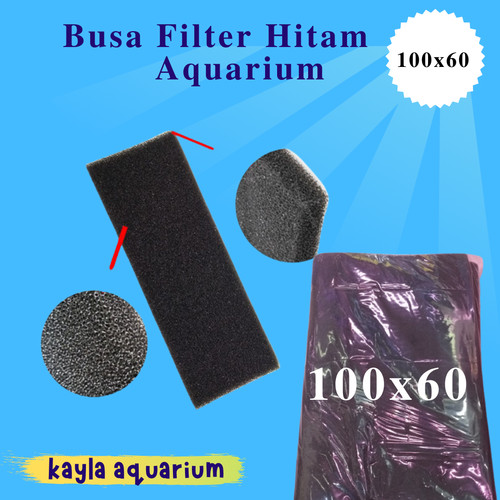 Detail Busa Hitam Aquarium Nomer 15