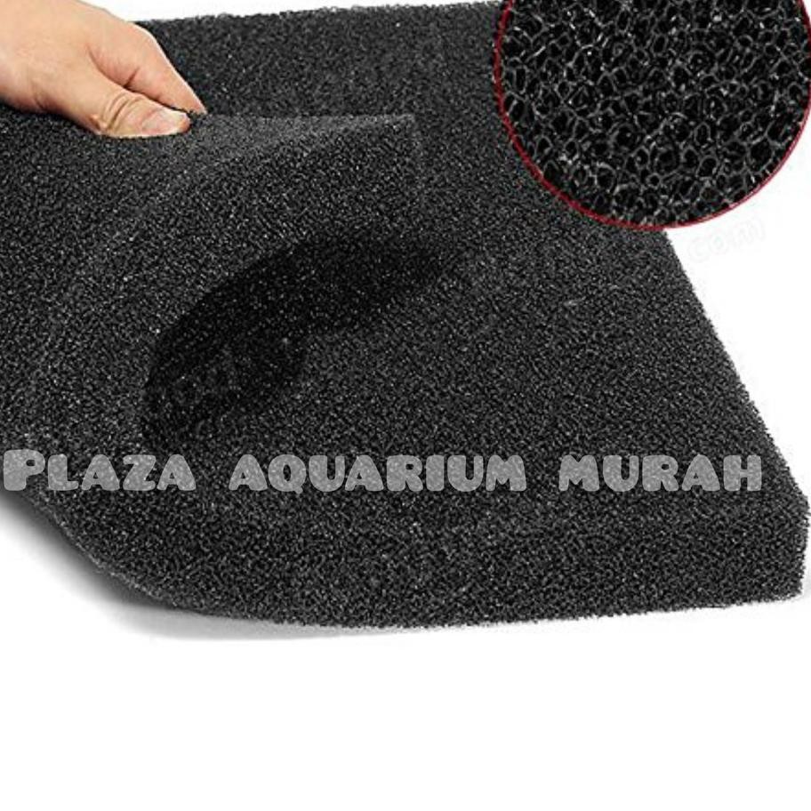 Detail Busa Hitam Aquarium Nomer 39