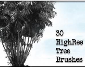 Detail Bush Brush Photoshop Nomer 47