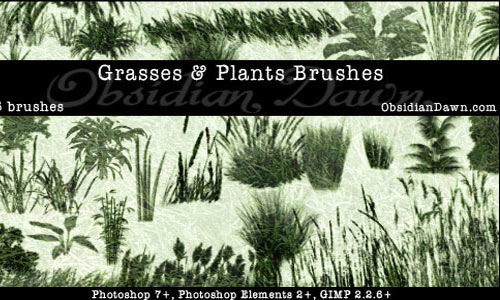 Detail Bush Brush Photoshop Nomer 52