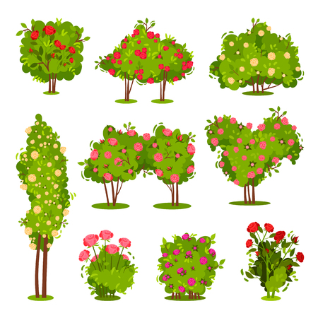 Detail Bush Plant Clip Art Nomer 35